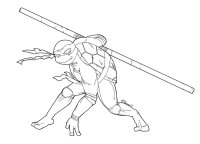 Testoasele Ninja