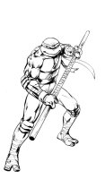 Testoasele Ninja