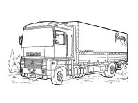 Tir