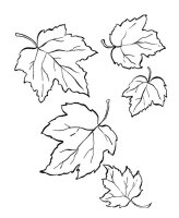 Toamna