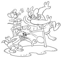 Tom si jerry