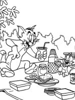 Tom si jerry