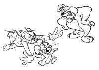 Tom si jerry